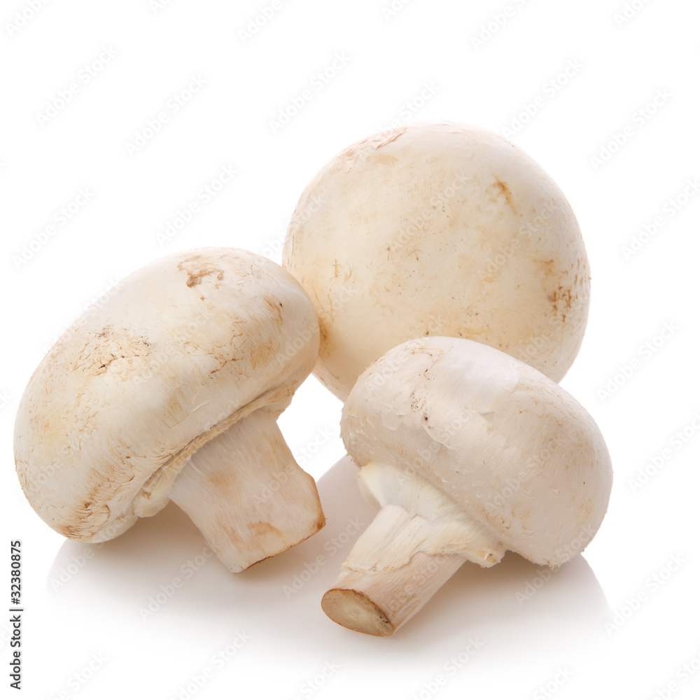 Champignon isolated over white background. Champignon isolated over white background.