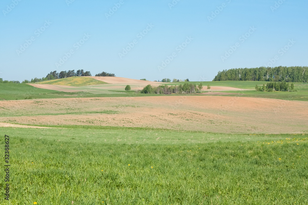 rural landscape of fields