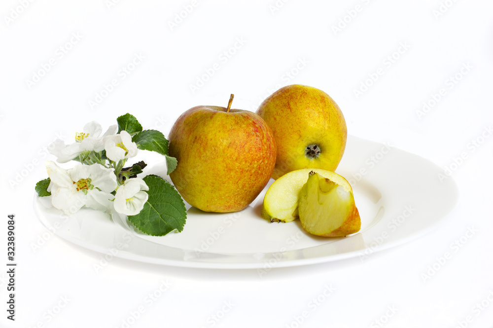 apples and apple tree flowers on the plate apples and apple tree flowers on the plate
