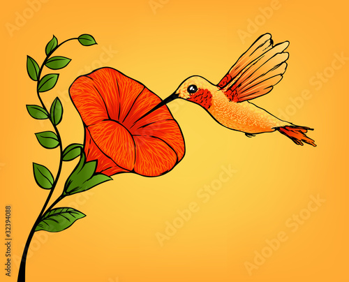 hummingbird and flower