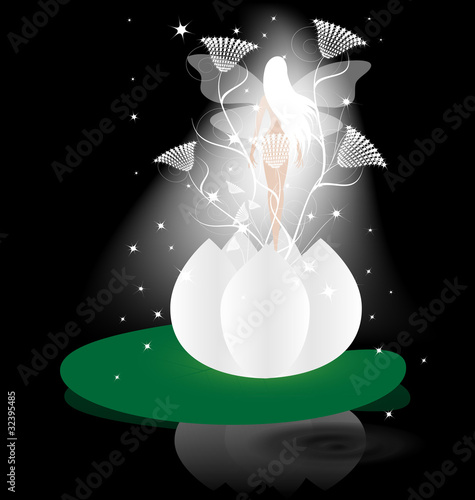 lily fairy
