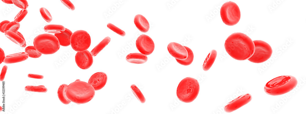 Red blood cells isolated on white Red blood cells isolated on white