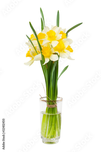 Narcissus