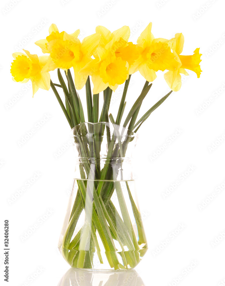 Yellow daffodils in a vase isolated on white Yellow daffodils in a vase isolated on white