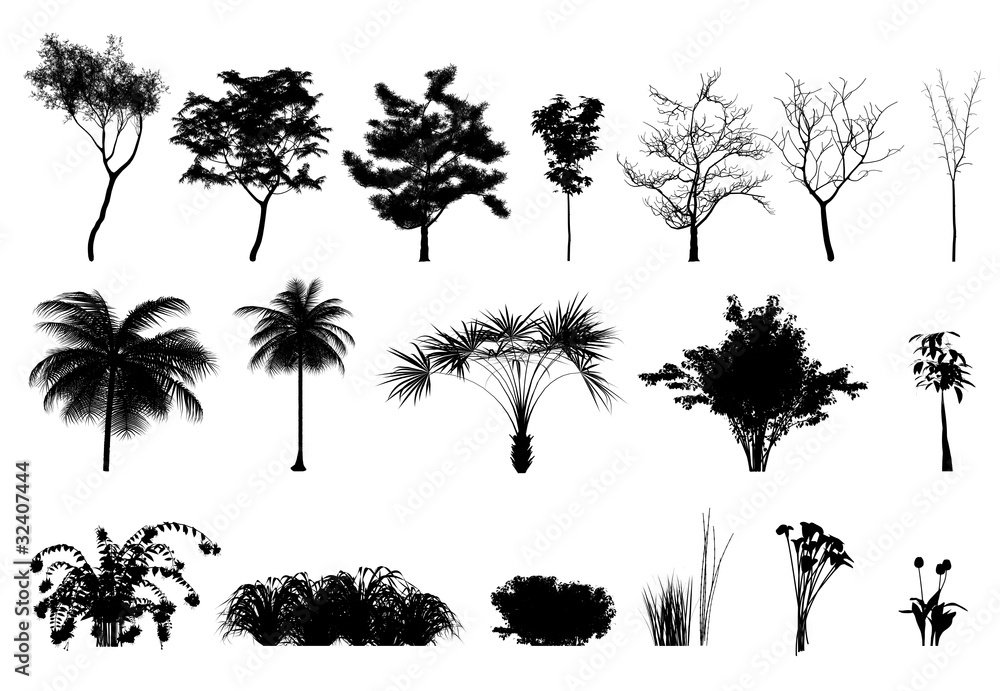 Obraz premium Silhouette: alberi, piante e fiori