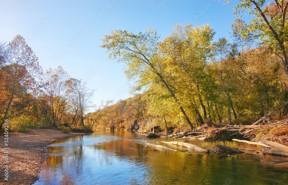 autumn leaves and trees on river