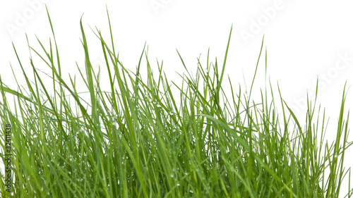 Billede på lærred brins d'herbe
