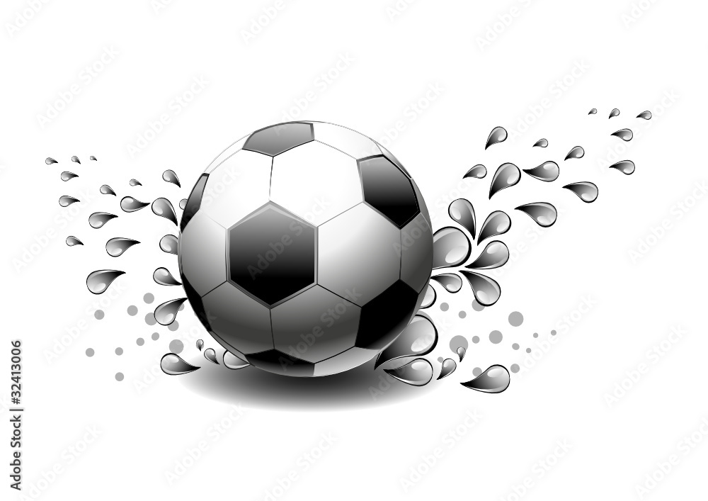Fototapeta premium soccer ball in the water