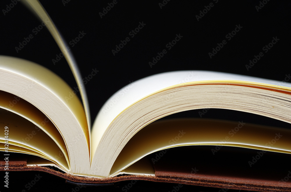 Fototapeta premium opened book on black