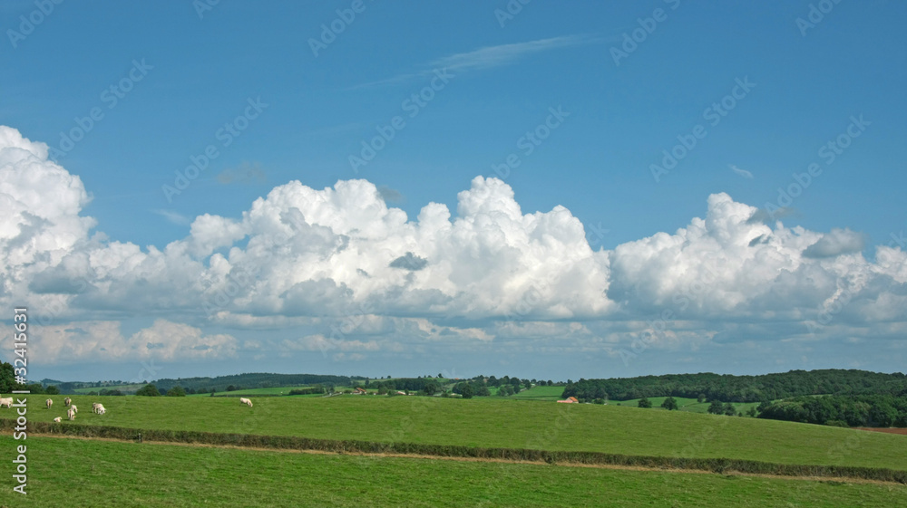 paysage de campagne en Bourgogne