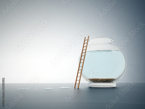 Schilderij op canvas Empty fishbole with a ladder