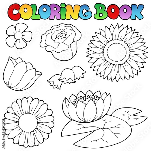 Fototapeta Naklejka Na Ścianę i Meble -  Coloring book with flowers set