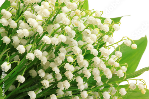 Fototapeta Naklejka Na Ścianę i Meble -  Flowers