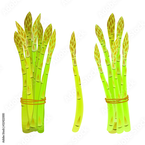 Asparagus spears tied in a bunch with twine