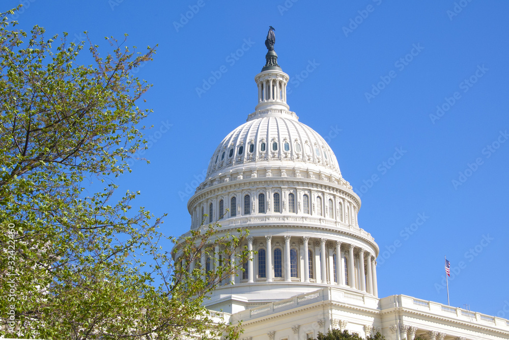 Obraz premium The Dome of the U.S. Capitol Against a Bright Blue Sky