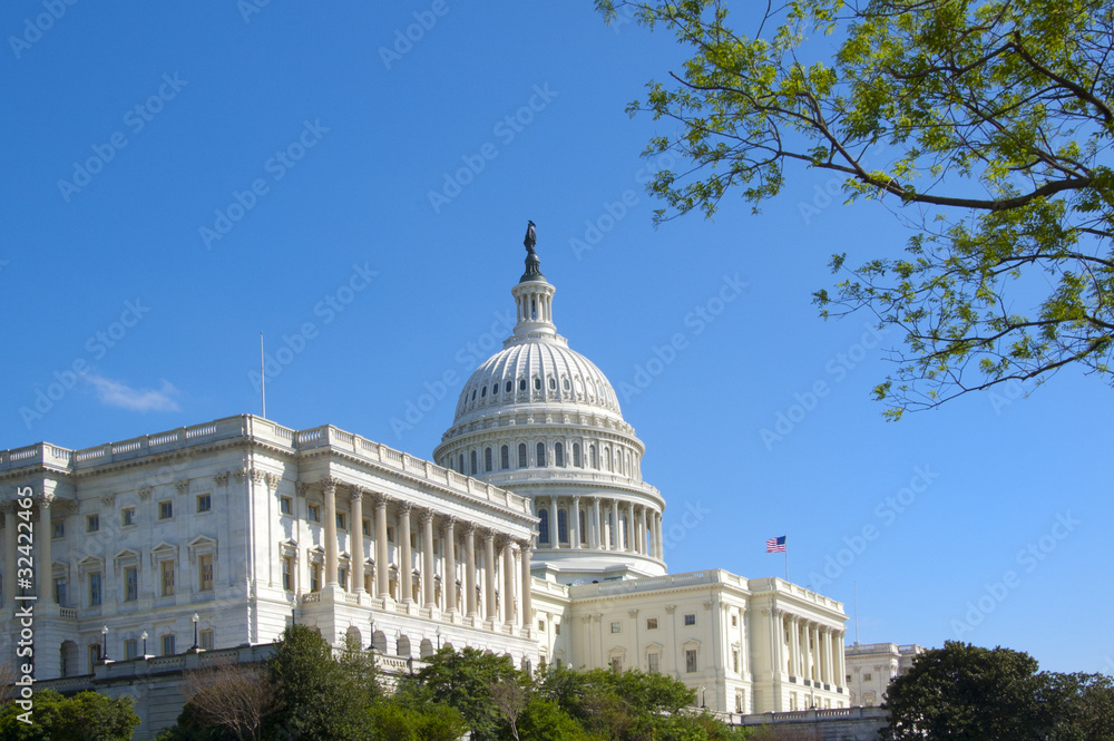 The U.S. Capitol Building in Washington
