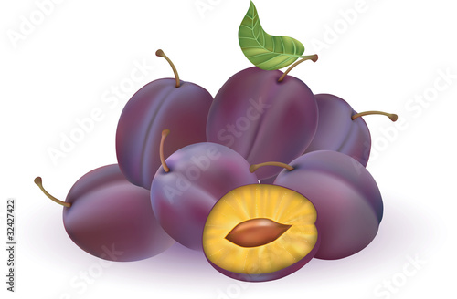Vector illustration of plums isolated on the white background