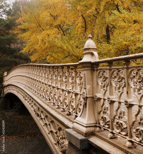 Park Bridge in Autumn