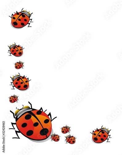 Insectos