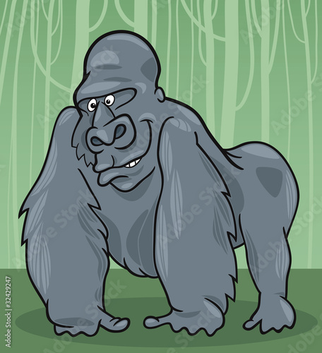 gorilla