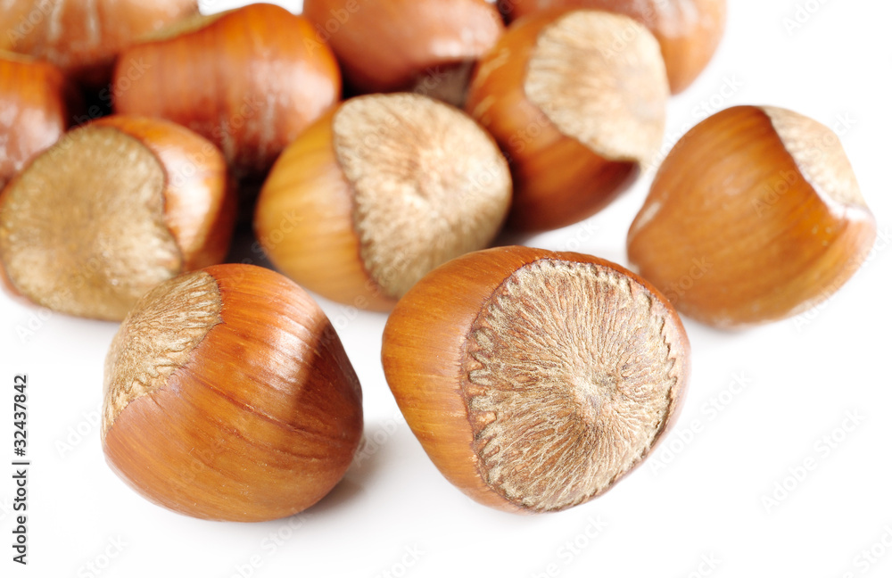 hazelnuts on white background hazelnuts on white background