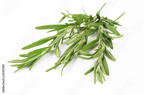 green rosemary