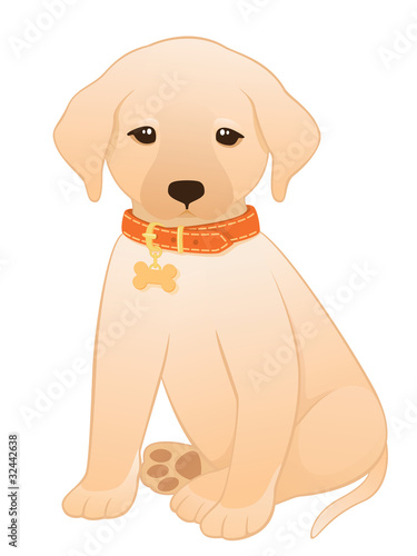 Labrador Retriever Puppy © fireflamenco