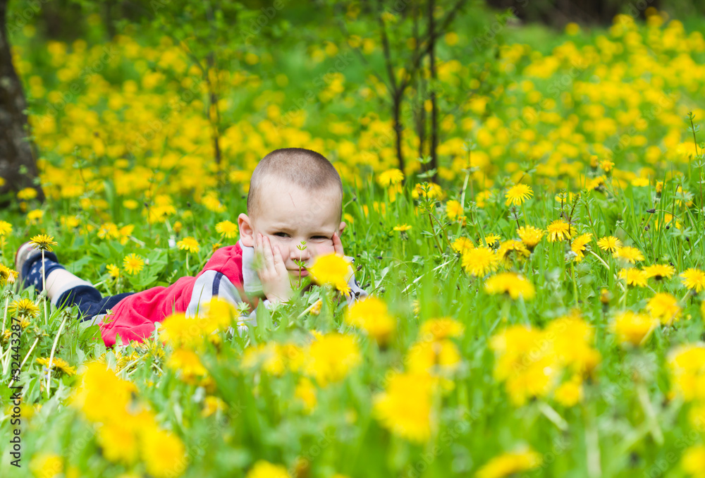little boy in flowers field little boy in flowers field