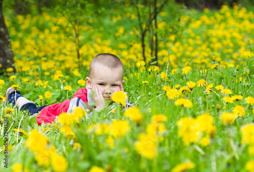 little boy in flowers field © Smailhodzic