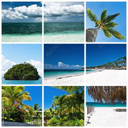 beautiful tropic lifestyle collage