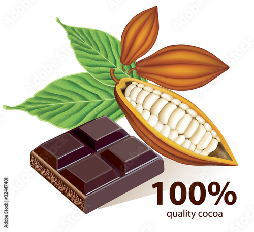 Vector cocoa beans with chocolate bar