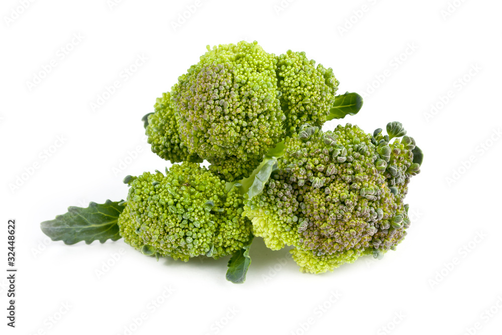 Broccoli stems isolated on white Broccoli stems isolated on white