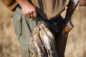 Papier peint photo Chasser Chasse à la caille en plaine  © José 16