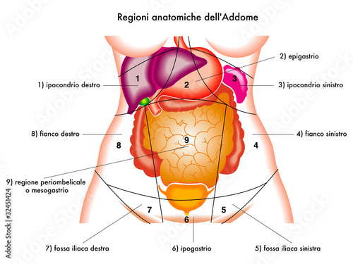 Addome
