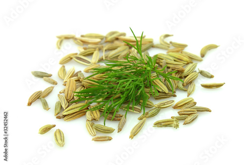 Seeds and a fennel