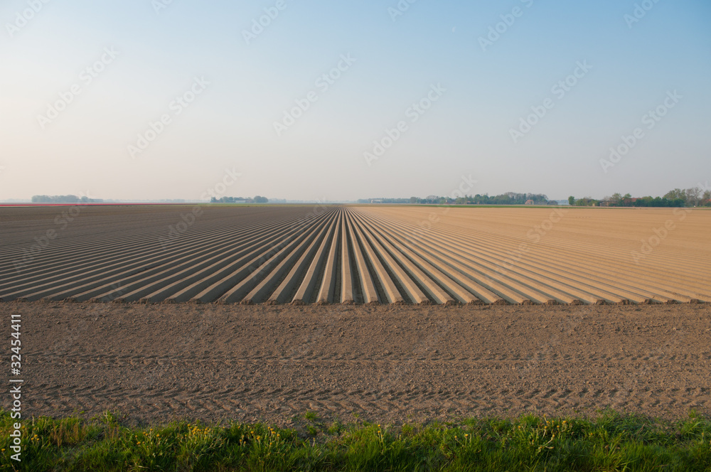 plowed field