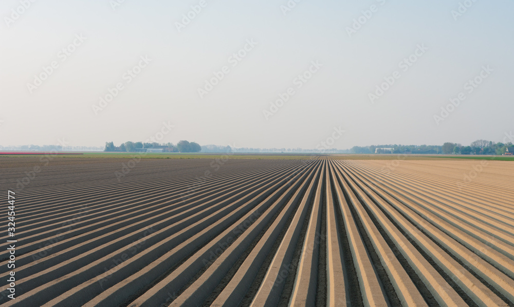 Naklejka premium plowed field