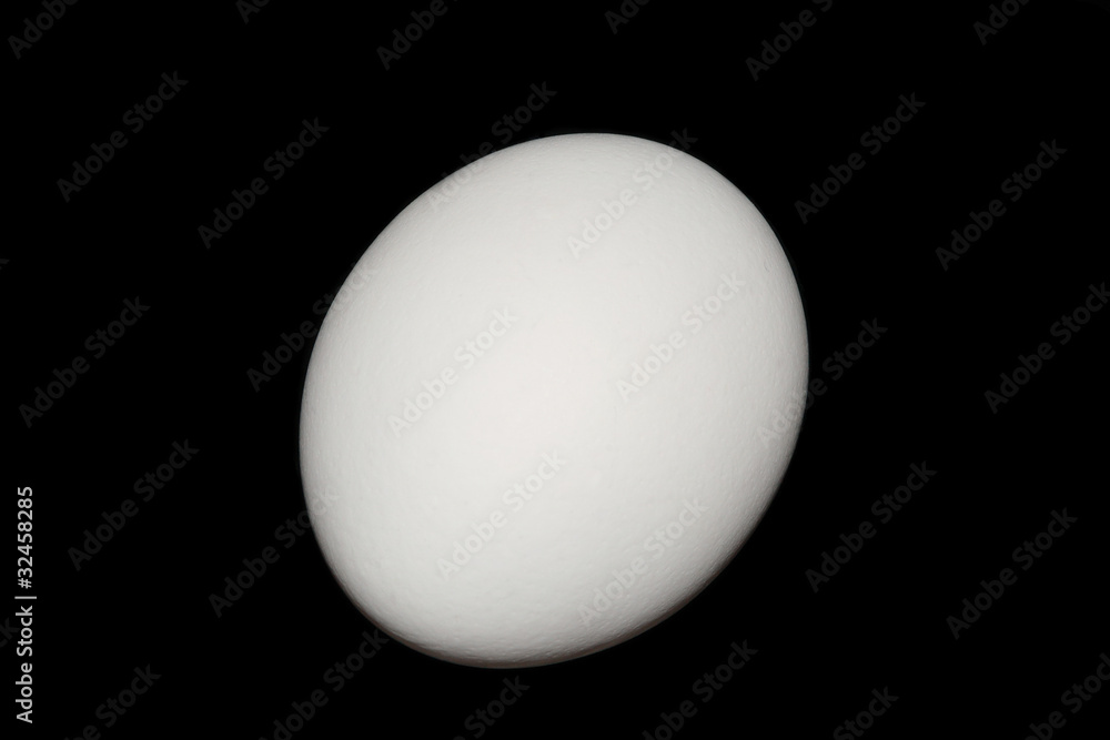 White egg on black White egg on black