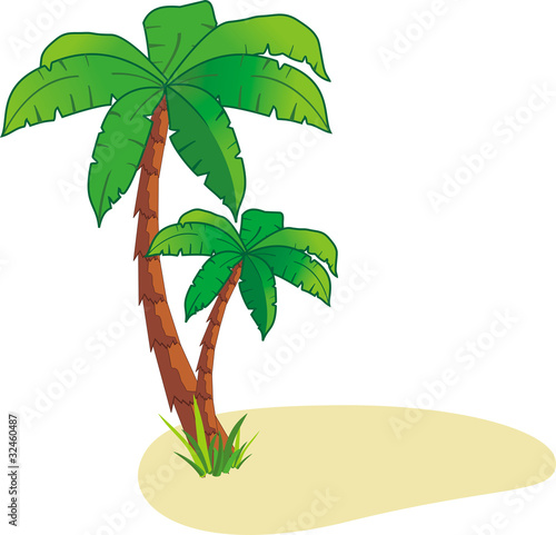 Palm on island