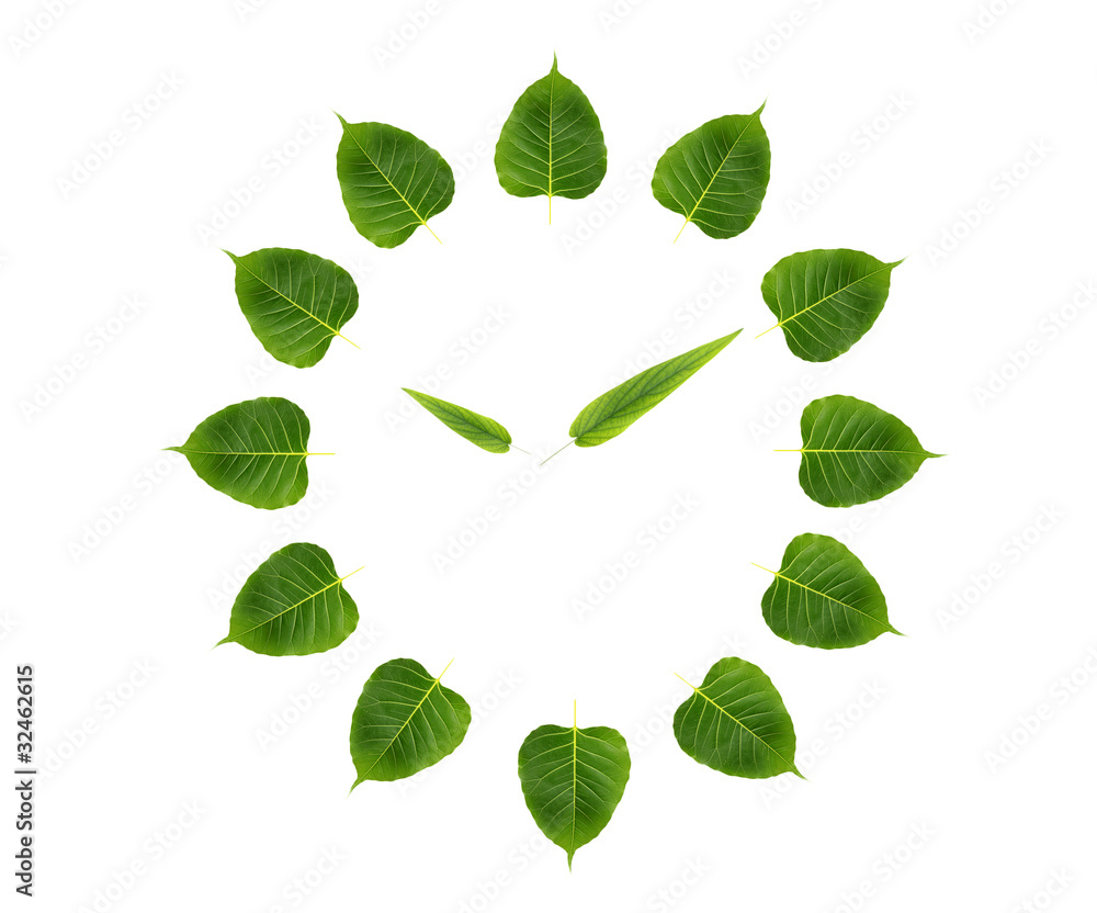 clock leaf