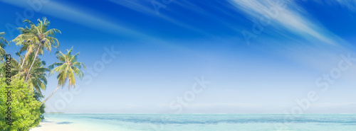 Fototapeta Naklejka Na Ścianę i Meble -  Tropischer Strand mit Palmen