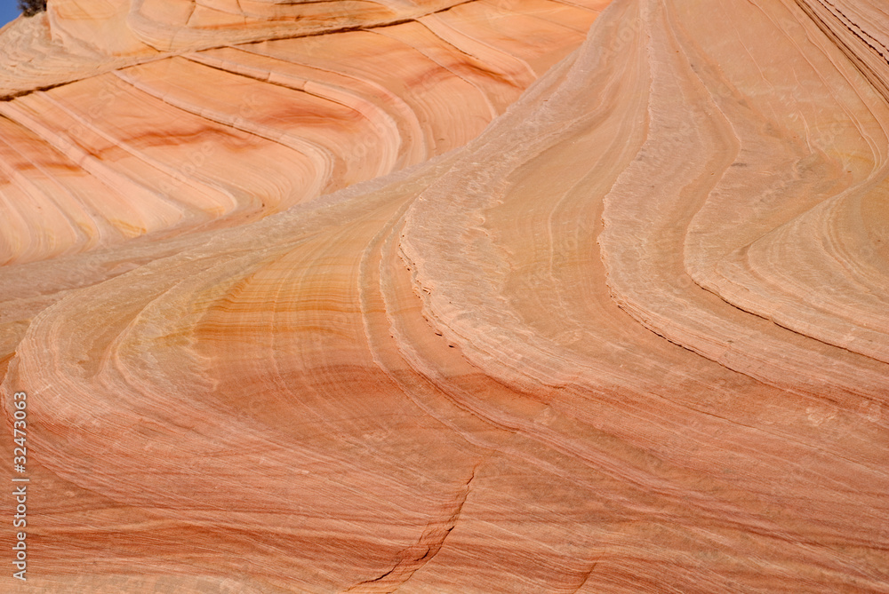 Obraz premium The Wave detail, Paria canyon, Arizona