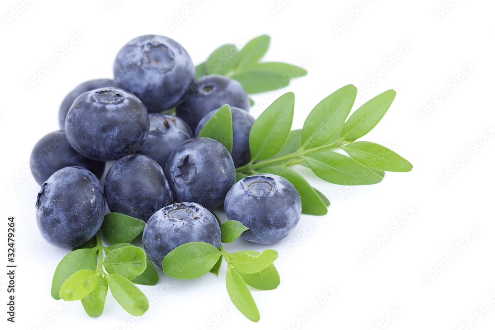fresh blueberries isolated on white fresh blueberries isolated on white