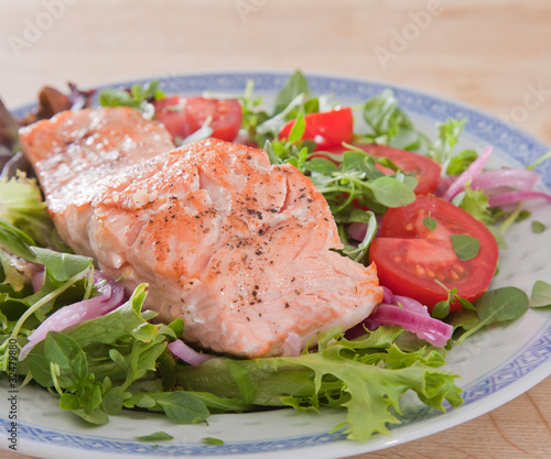 salmon