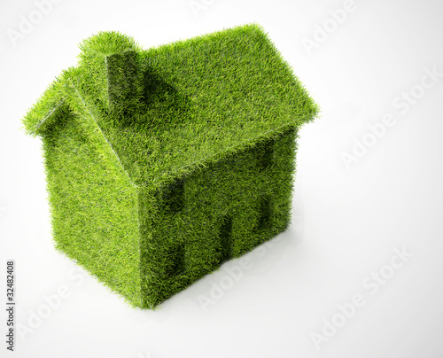 Isolated green grass eco home