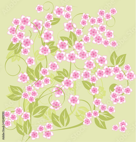 spring floral background