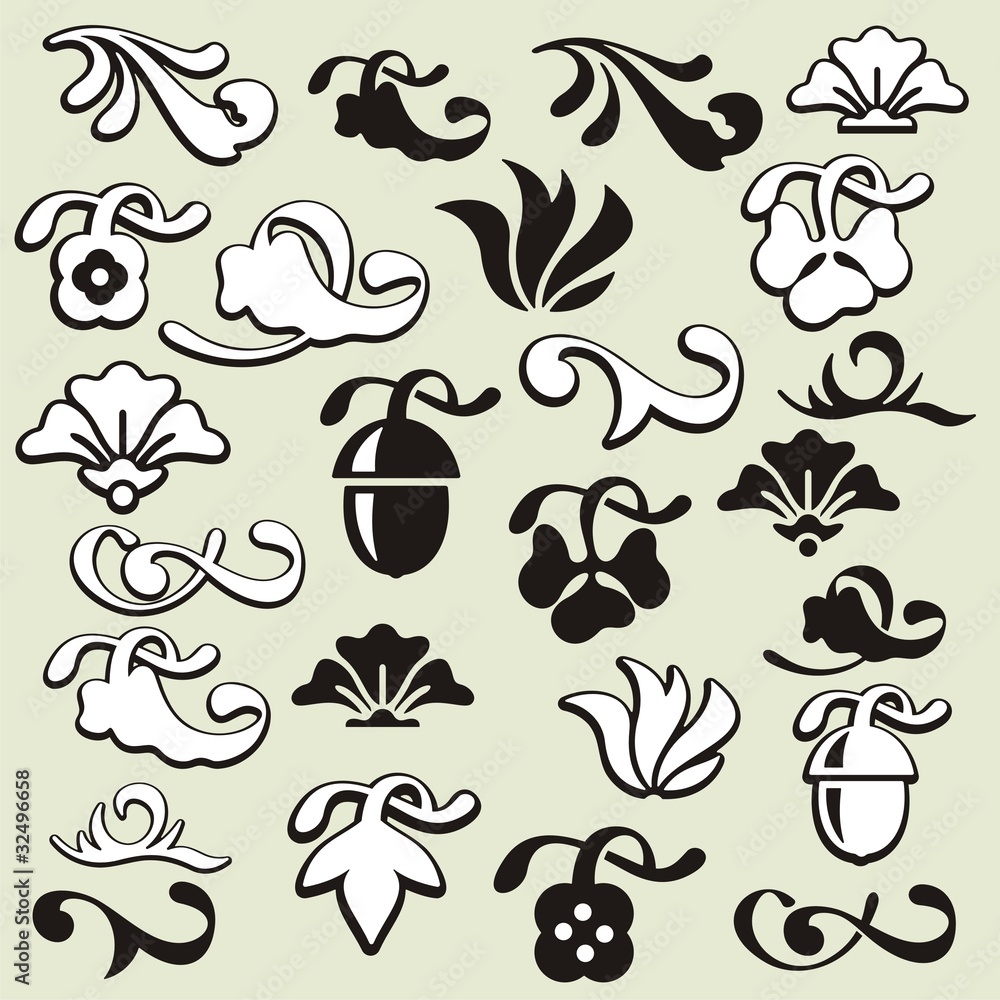 Fototapeta premium Exquisite Ornamental Design Elements