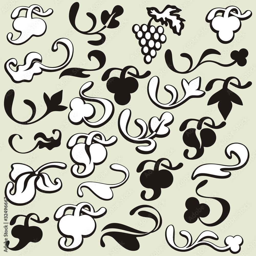 Fototapeta premium Exquisite Ornamental Design Elements