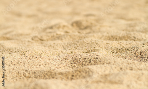砂丘の模様