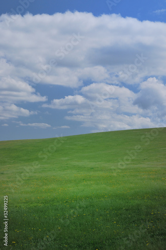 Green field blue sky
